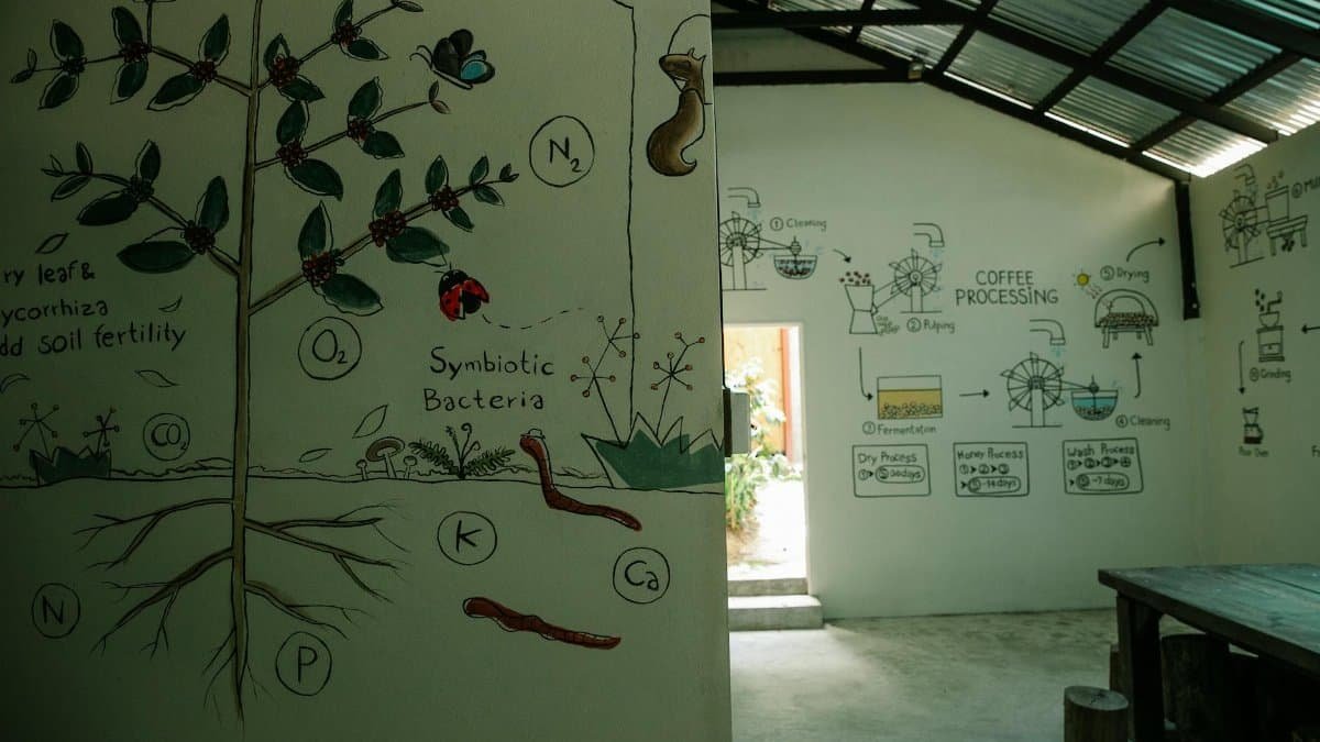 Interior of spacious house with various pictures on white walls showing process of coffee production in farm