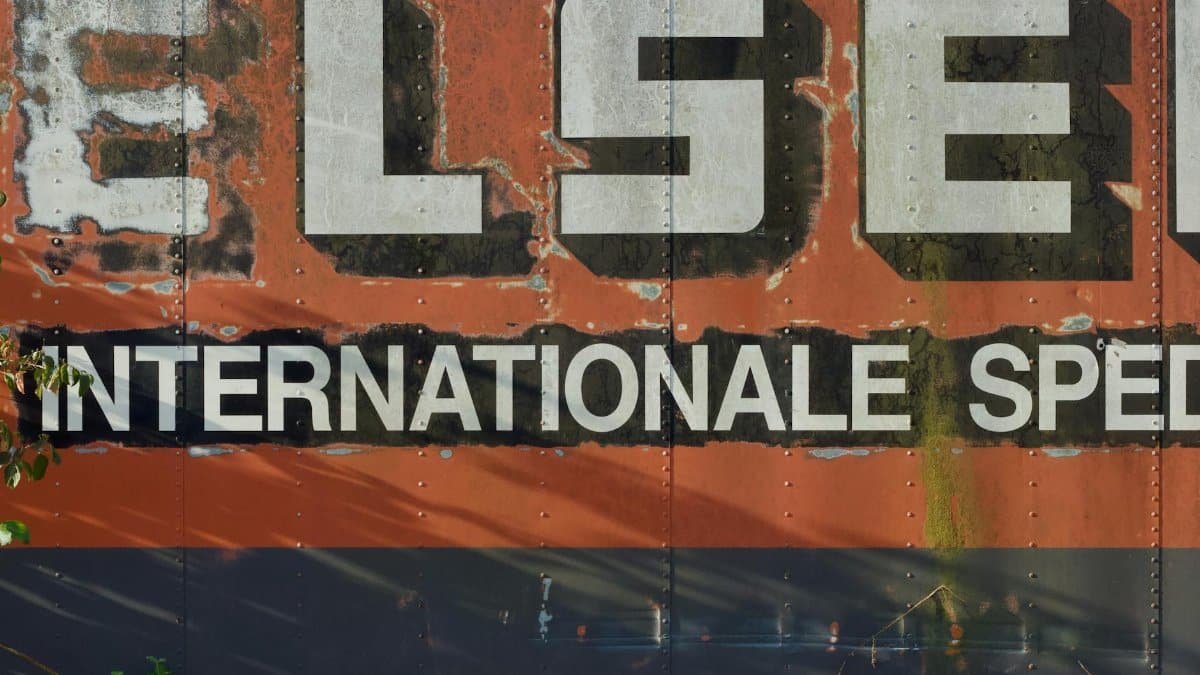 Close-up of a weathered vintage sign with bold text, partially surrounded by nature.