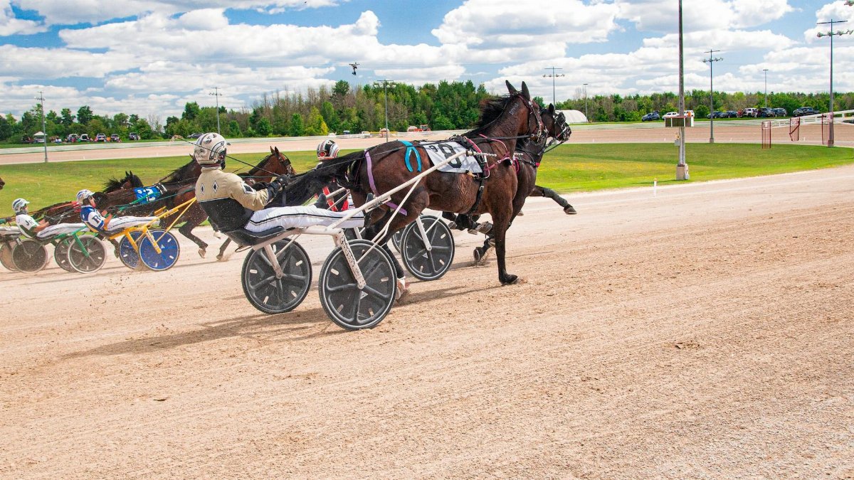 Dynamic shot of a harness racing event on a bright day with spectators and drivers racing.