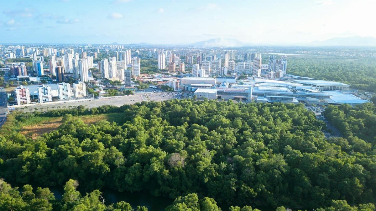 A stunning aerial view showcasing the city skyline of Fortaleza with lush green forest in the foreground.