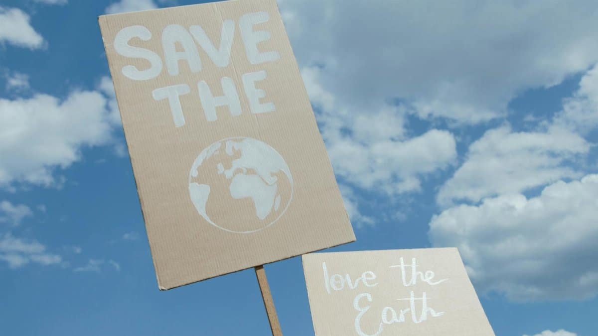 Protest signs promoting environmental conservation against a cloudy blue sky.