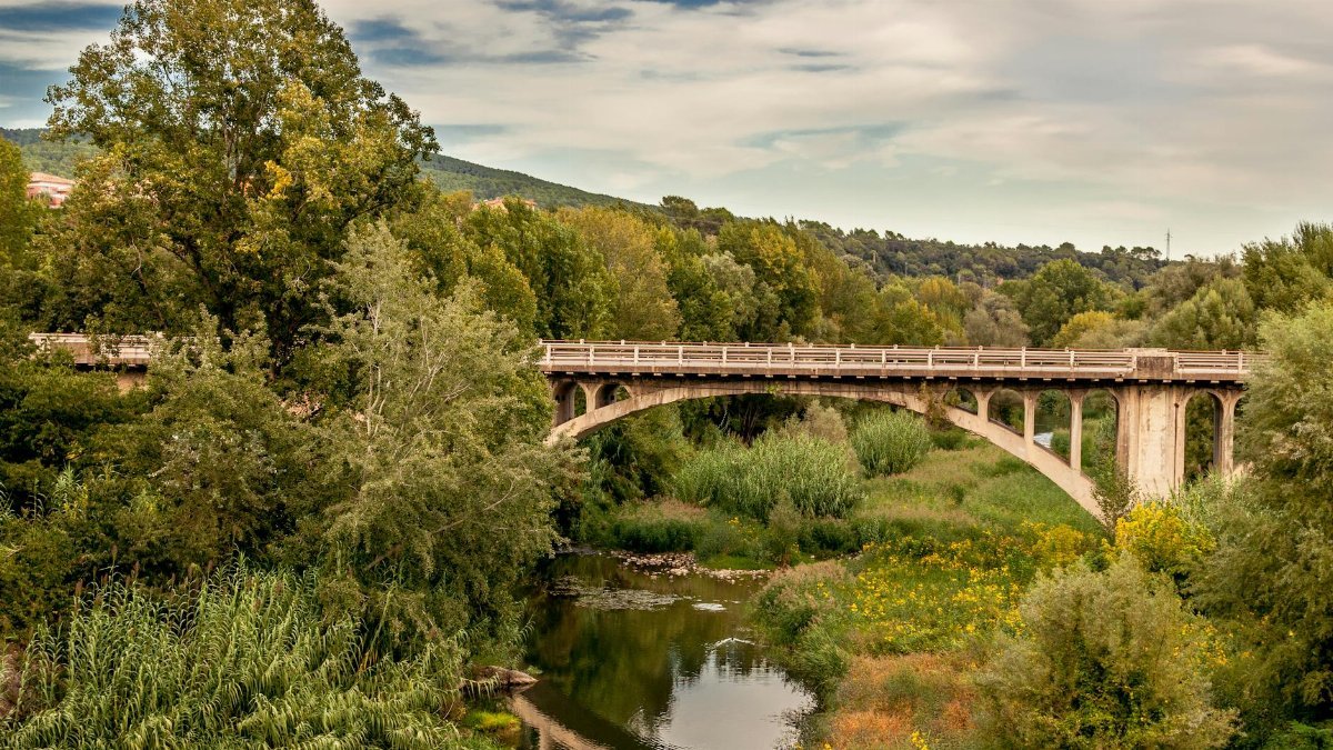 Scenic view of an ancient stone bridge over a river in Besalú, Spain, surrounded by lush greenery.