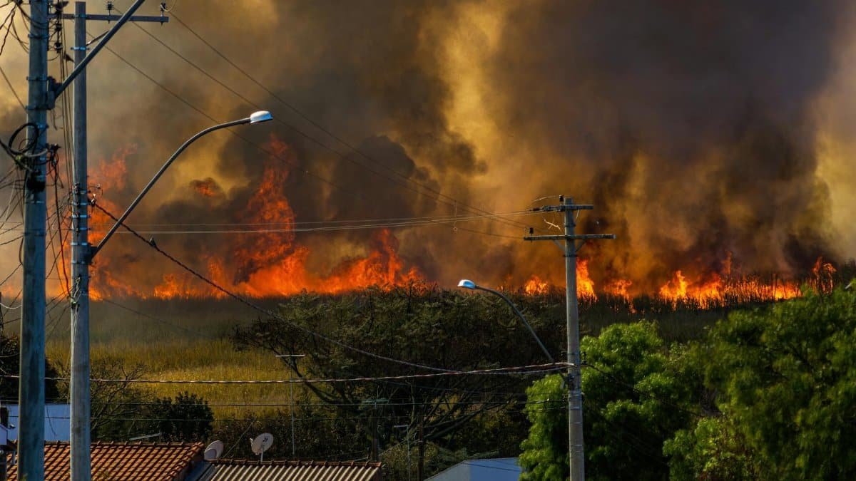 A dramatic wildfire near homes, highlighting the danger and environmental impact of such events.