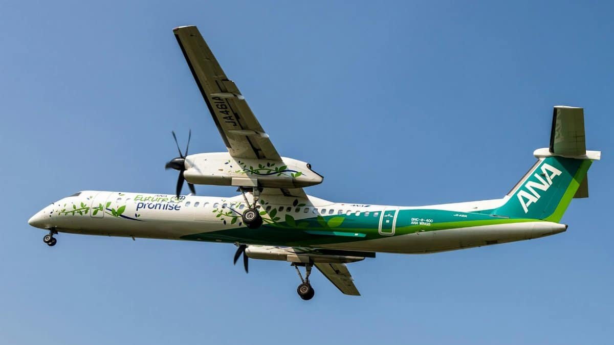 A commercial airplane with unique green livery flying against a clear blue sky showcasing sustainable travel.