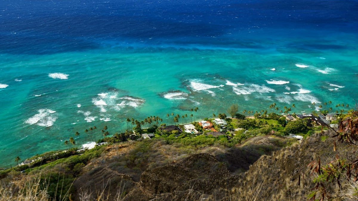 Breathtaking aerial view of a Hawaiian coastline featuring turquoise waters, palm trees, and coastal houses.