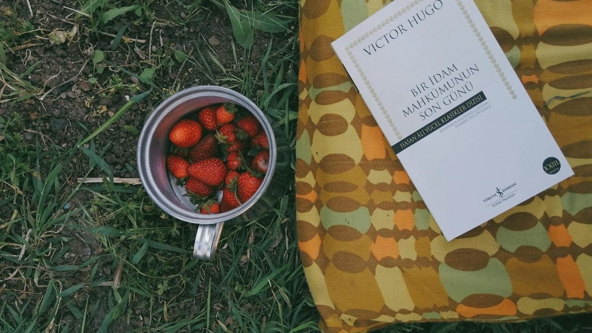 A relaxed picnic setting featuring a book and strawberries in a cup on grassy ground.