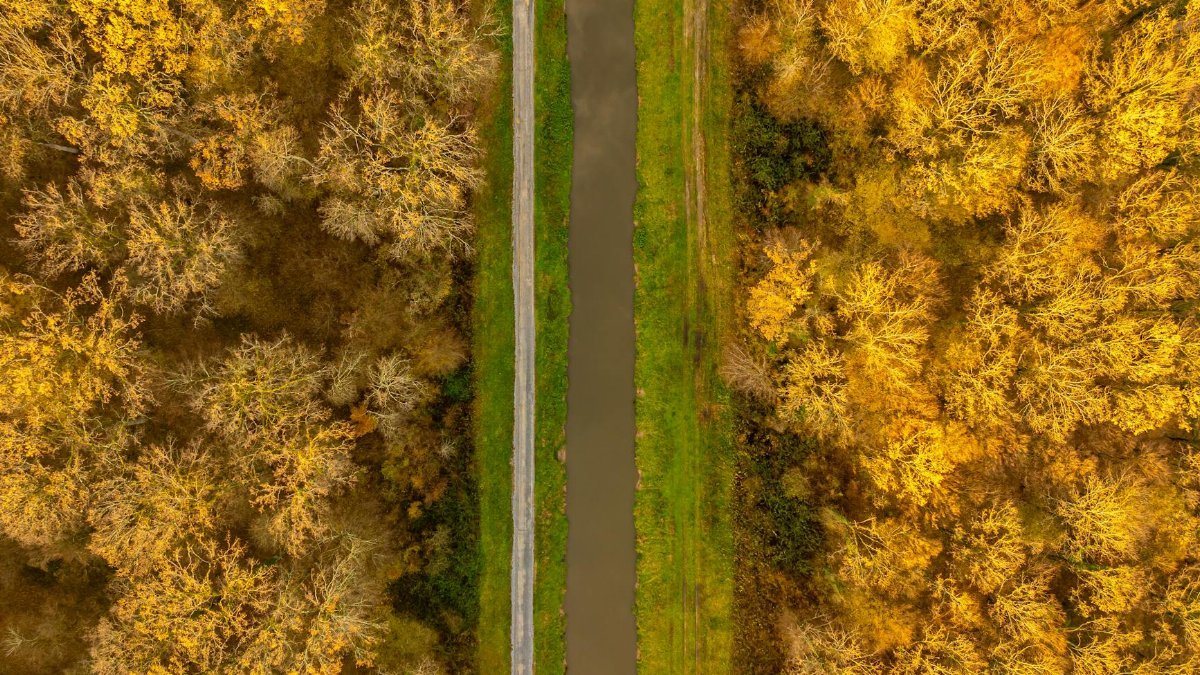 A stunning aerial shot of a forest in autumn colors with a stream flowing through, located in Garešnica, Croatia.