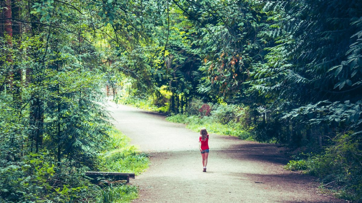 Child walks along a peaceful forest path under lush green trees during summer daylight.