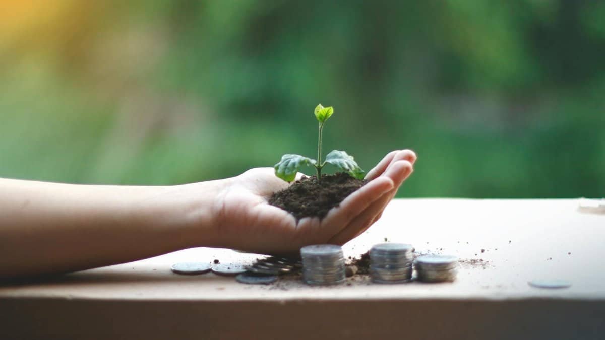 A hand cradles a young plant above coins, symbolizing financial growth and sustainability.