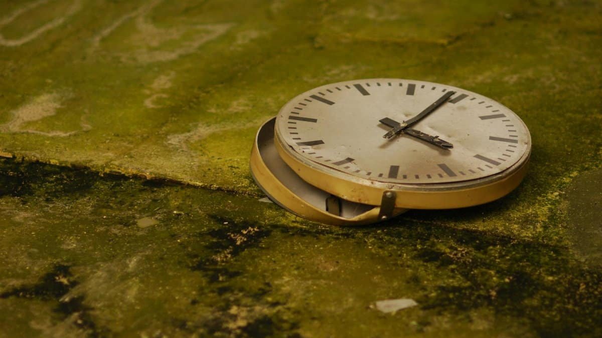 Close-up of a vintage clock lying on mossy pavement, evoking a sense of time and decay.