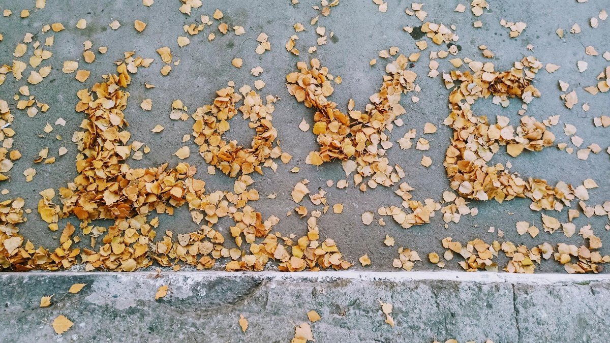 Dry autumn leaves artistically form the word 'Love' on a concrete pavement.