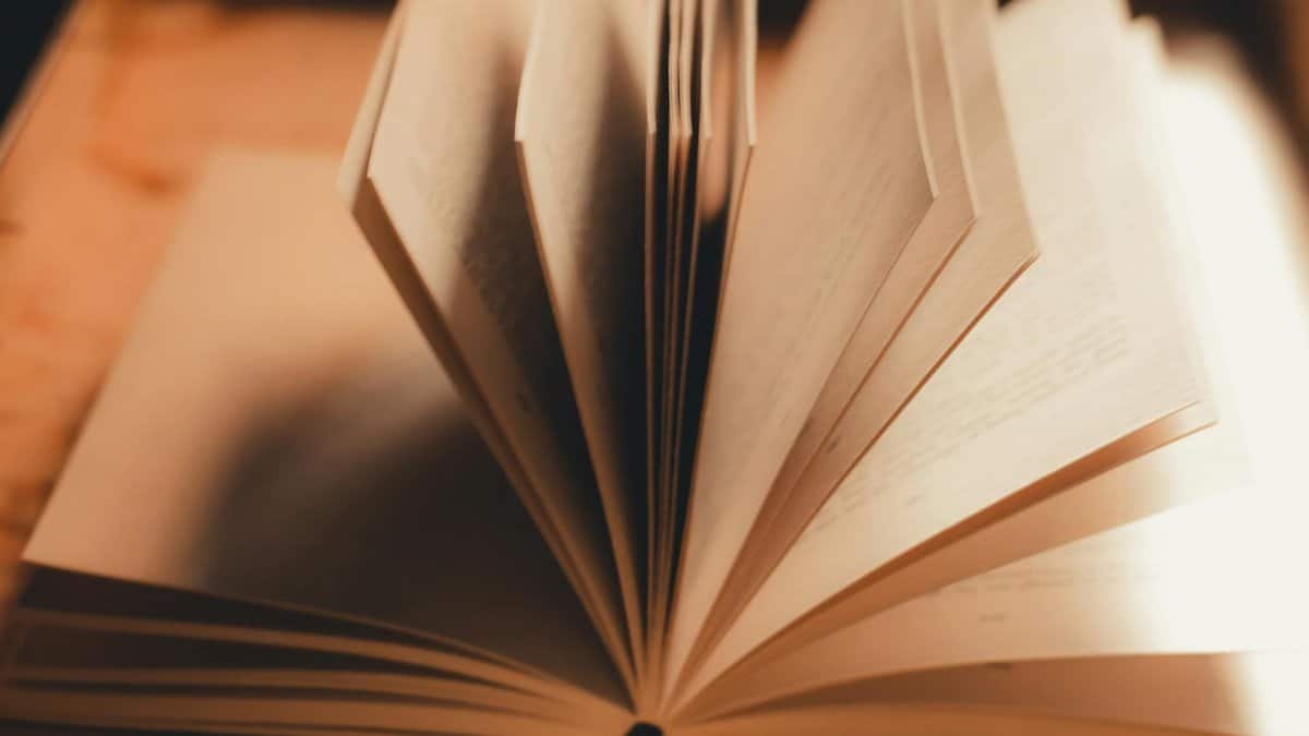 Close-up of an open book with pages turning in warm, soft light.