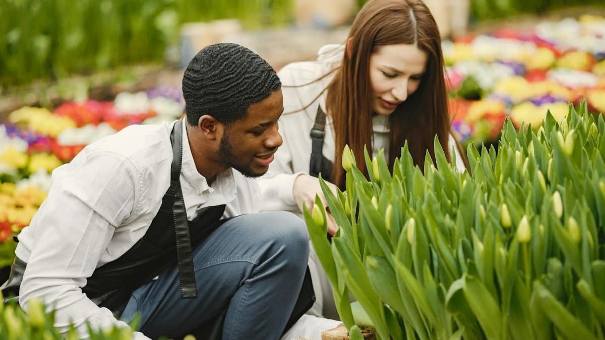 Two gardeners tending to plants in a colorful garden, showcasing teamwork and nature's beauty.