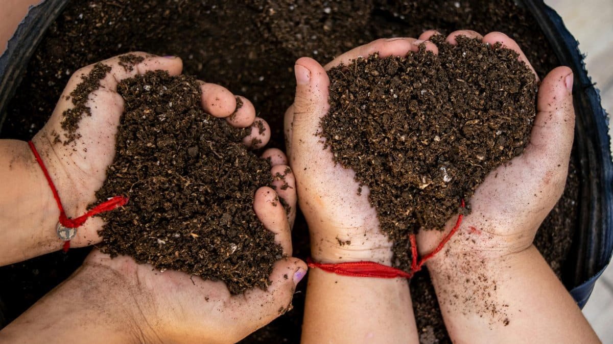 Close-up of hands holding soil shaped like a heart, symbolizing love and care for nature.