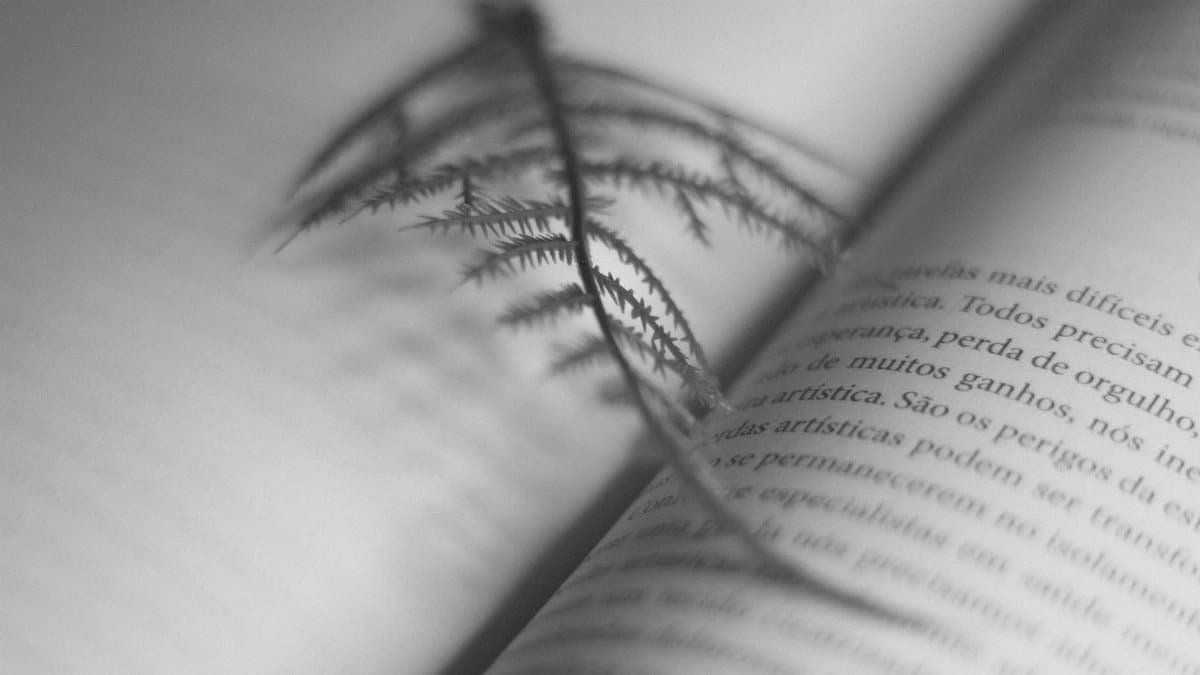 A black and white image of an open book with a delicate leaf on the pages, creating an artistic atmosphere.