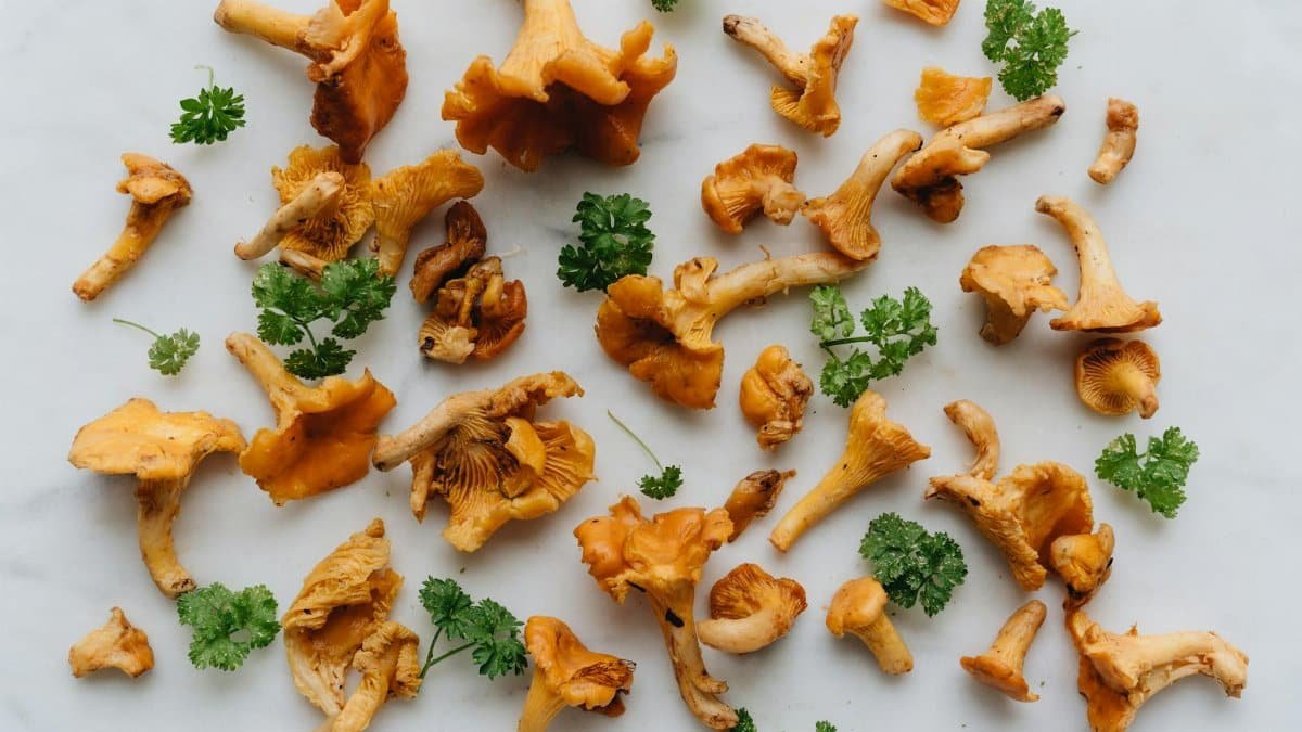 Top-down view of fresh chanterelle mushrooms and parsley arranged on a white surface for culinary purposes.