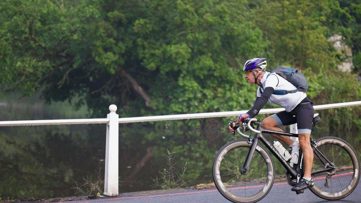 A cyclist riding along a scenic path surrounded by lush greenery in summer.