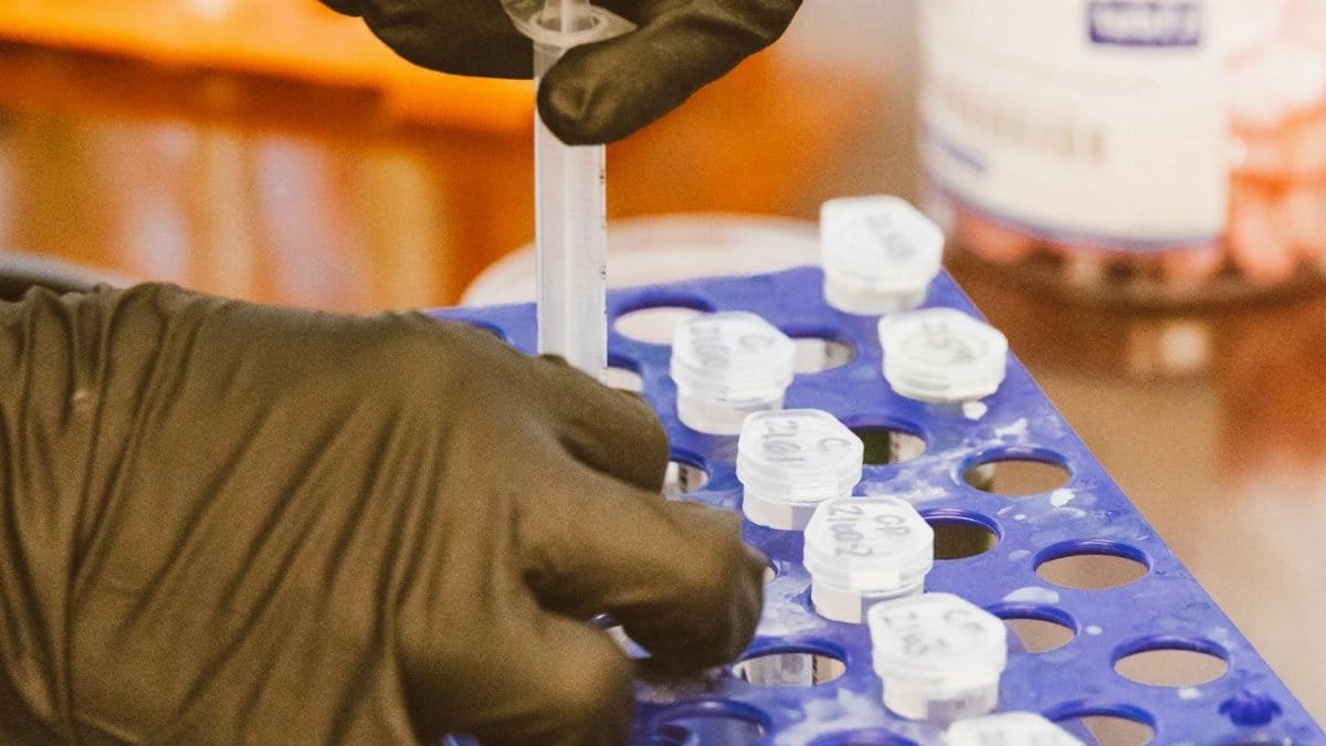 Close-up of gloved hands using syringe for precise work in a lab setting.