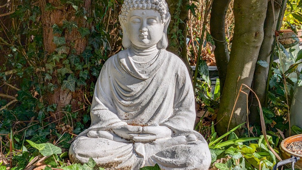 Peaceful Buddha statue nestled in a vibrant garden, surrounded by lush greenery and sunlight.