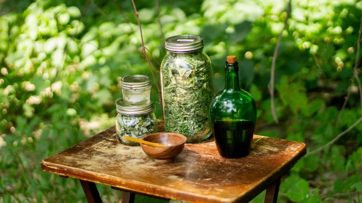 Jars filled with dried herbs and a bottle on a wooden table amidst greenery, depicting natural remedies.