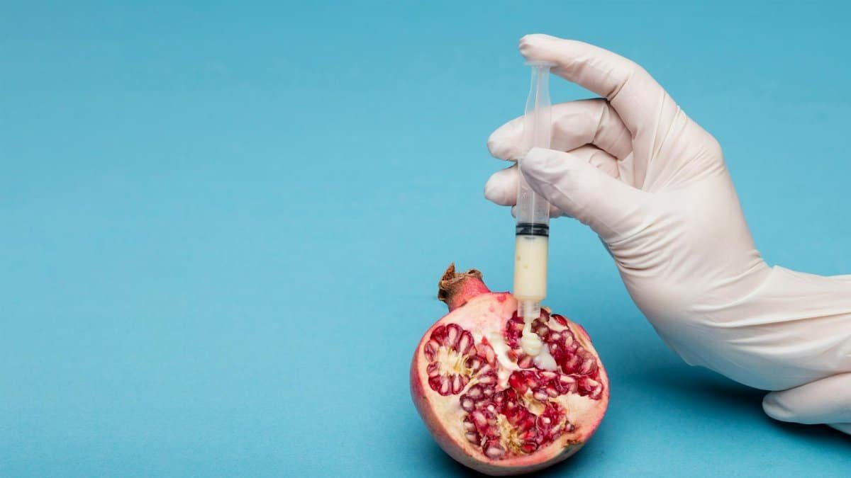 Creative representation of genetic modification with a syringe injecting a pomegranate.