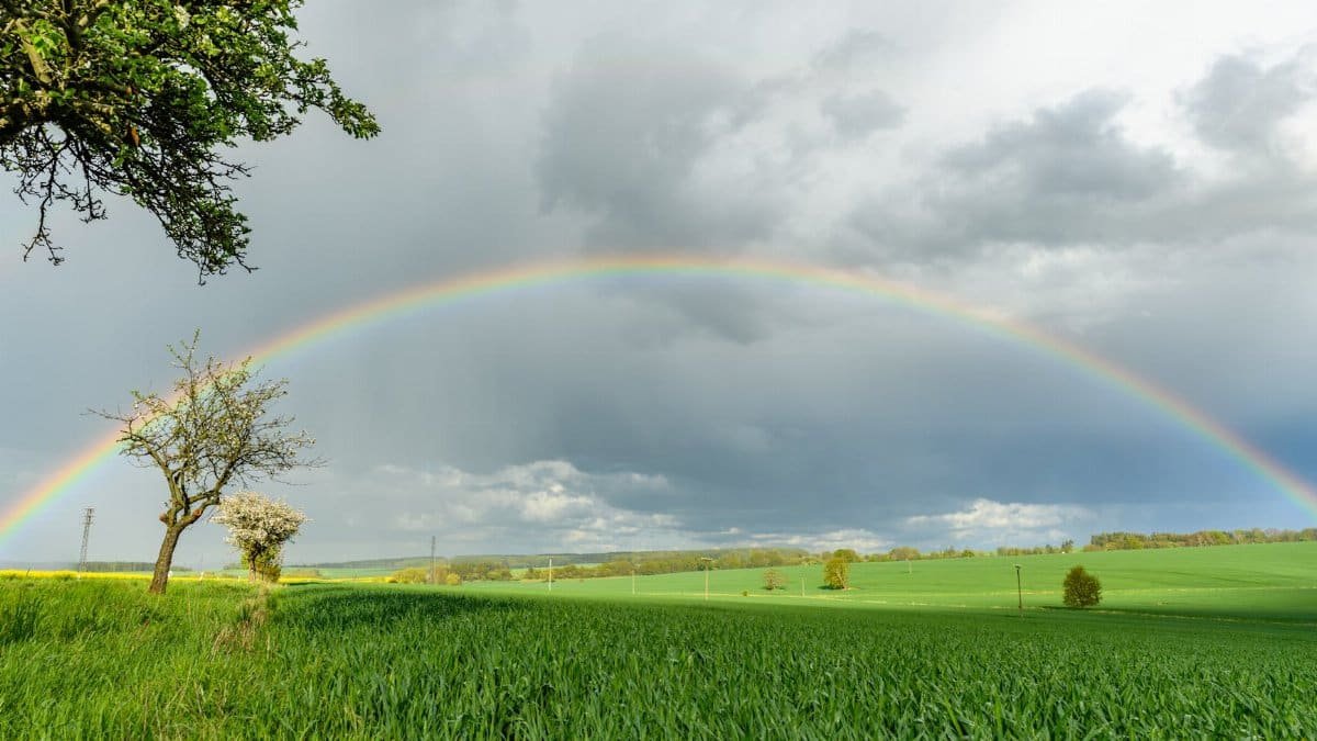 A vibrant rainbow arcs over a lush green field under a cloudy sky, creating a serene natural scene.