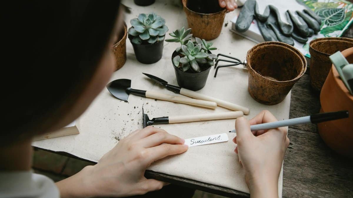 High angle of crop anonymous female gardener writing inscription on paper while planting seedling with colleague