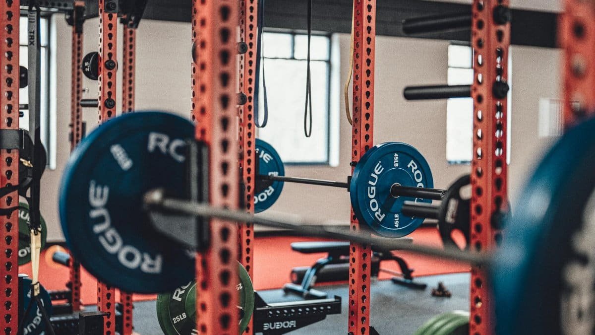 Close-up view of gym equipment with barbells and weight plates, perfect for strength training enthusiasts.