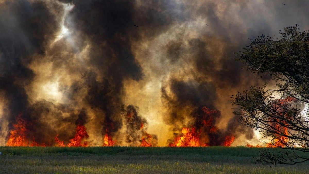 Intense wildfire engulfing rural landscape with thick smoke and bright flames.