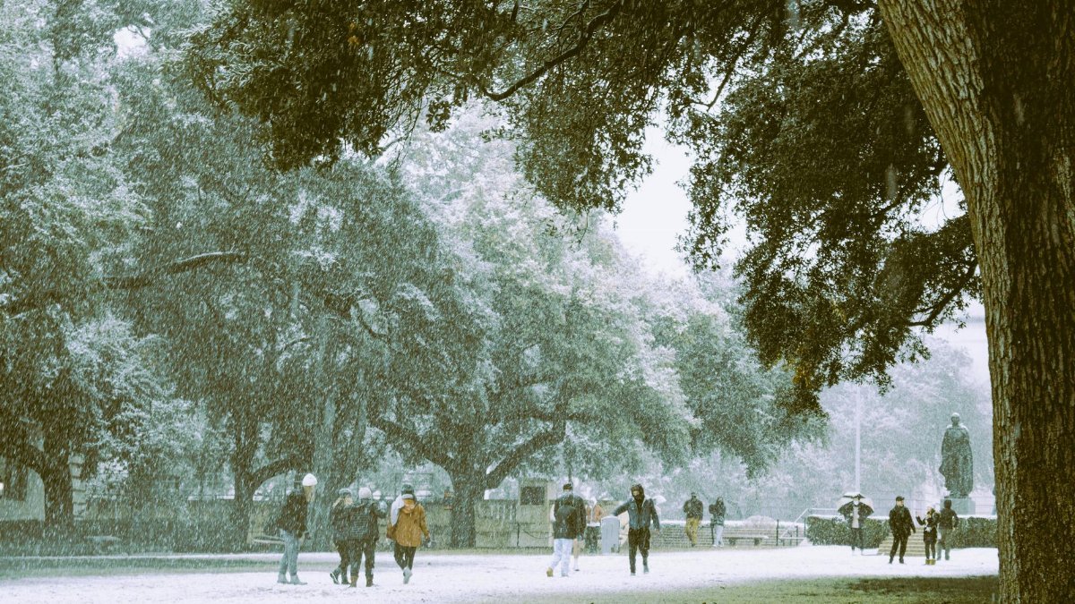 People enjoying a snowy winter day in an Austin park, highlighting the rare Texas snowfall.