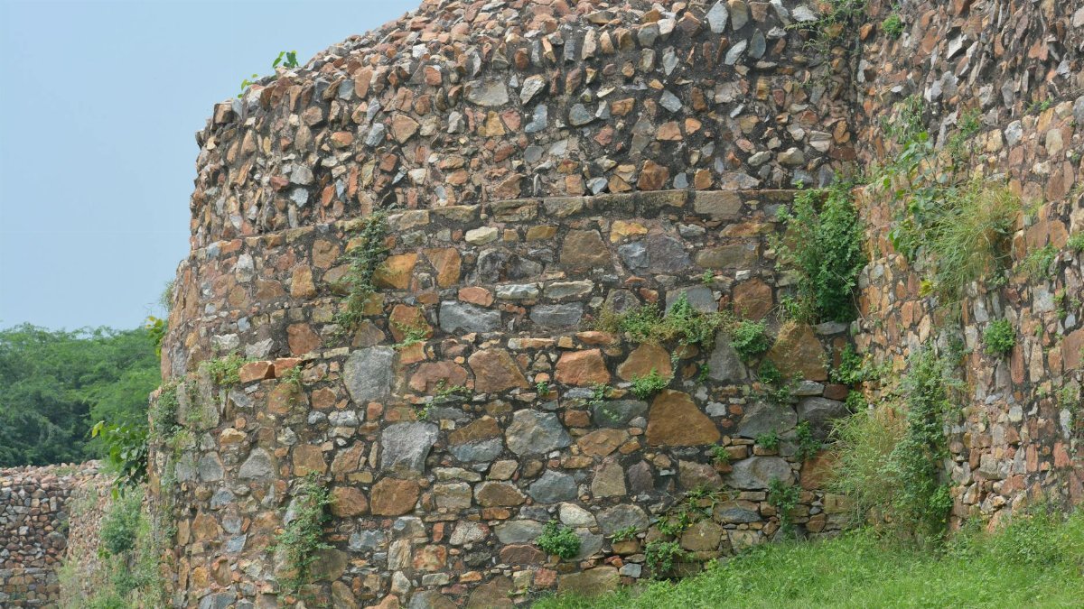 Close-up of an ancient stone fortification wall in Delhi, India, surrounded by greenery.