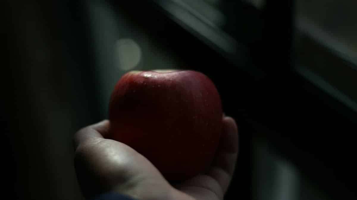 A fresh red apple being held in a hand against a softly lit background, ideal for healthy living concepts.