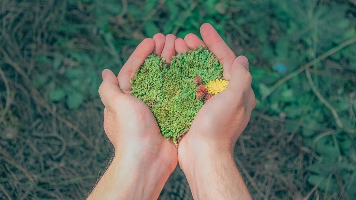 Hands in a natural setting holding heart-shaped moss, symbolizing love for nature.