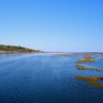Peaceful lagoon in a natural reserve along the coast of Faro, Portugal, on a sunny day.