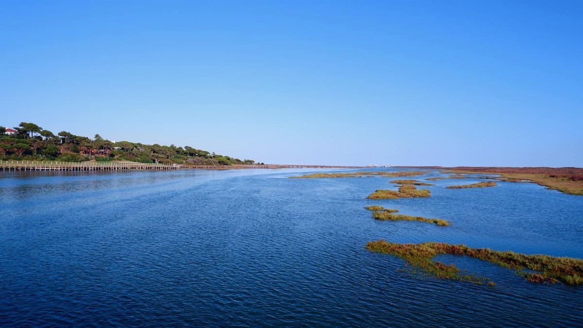 Peaceful lagoon in a natural reserve along the coast of Faro, Portugal, on a sunny day.