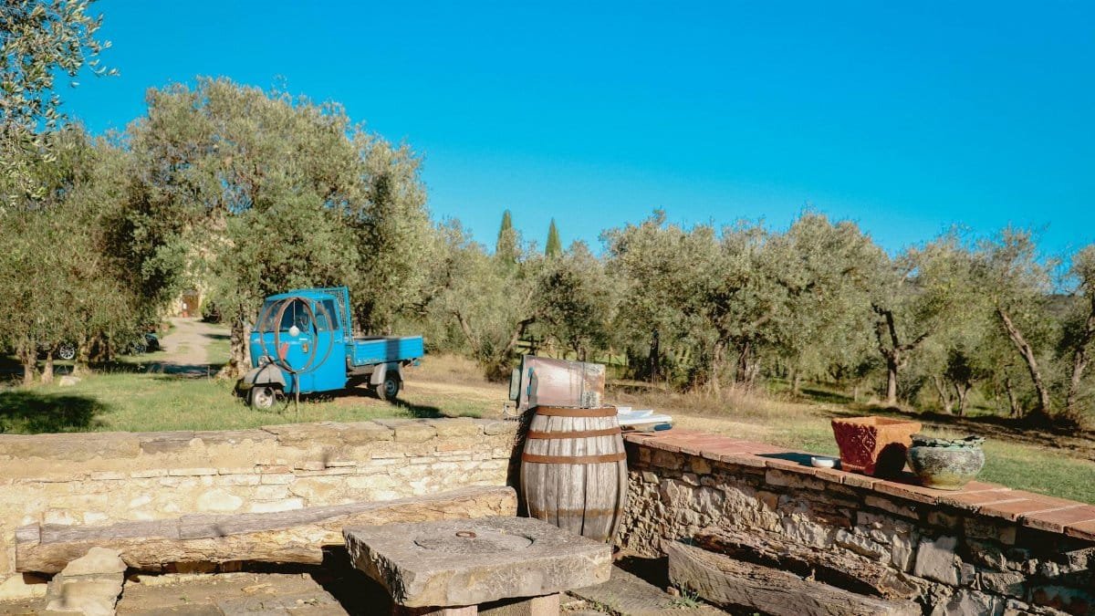 Charming scene of a Tuscan olive grove featuring a blue three-wheeler and rustic stone seating.
