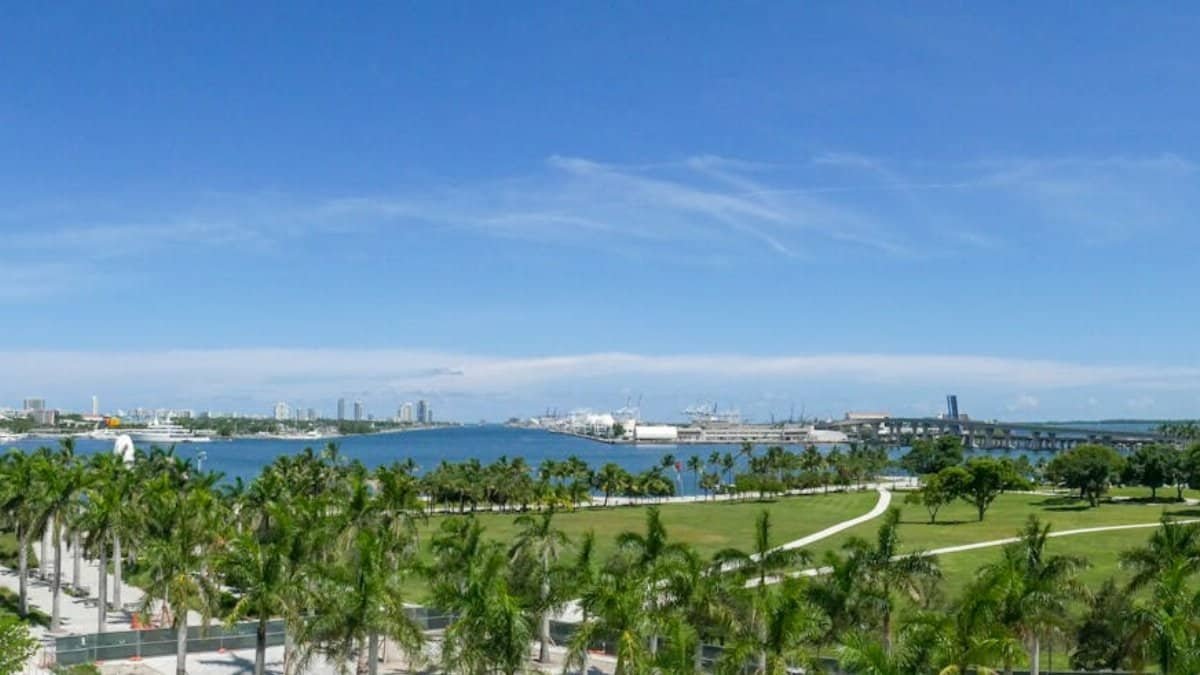 Discover the vibrant Miami skyline overlooking lush green parks and clear blue skies.