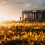 A picturesque tiny house with solar panels in a golden field during sunset, capturing eco-friendly living.