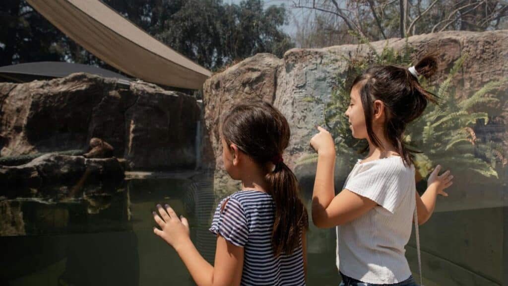 Two children observing an otter in a zoo aquarium through glass.