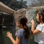 Two children observing an otter in a zoo aquarium through glass.