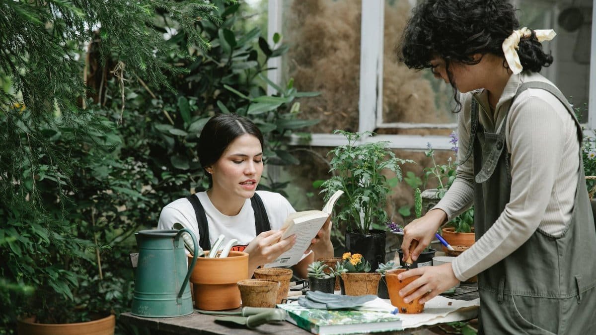 Woman sitting at table and reading gardening handbook while colleague planting sprout in peat pot in garden