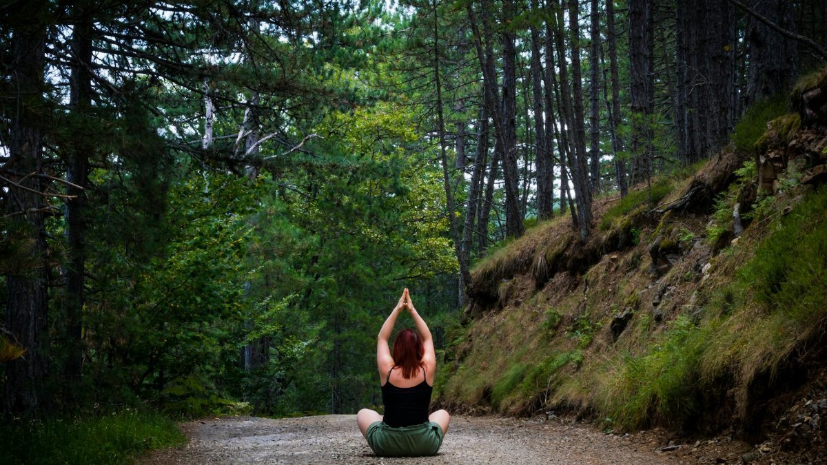 Woman practicing yoga in a tranquil forest setting, symbolizing peace and nature.