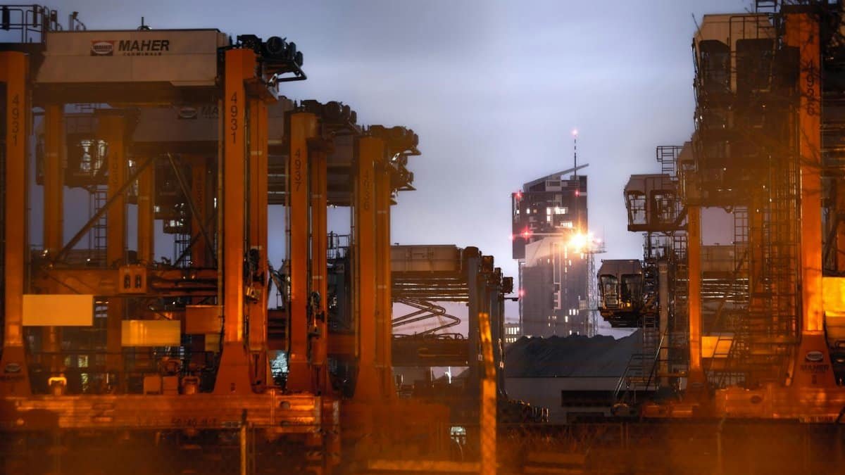 A view of cranes in Gdynia Harbour with city skyline at night, highlighting industrial activity.