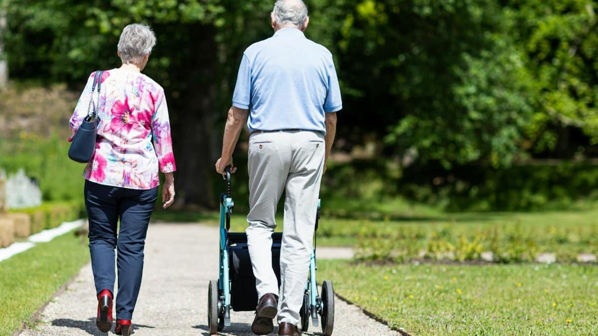 Senior couple walking in a park during summer, supporting mobility and togetherness.