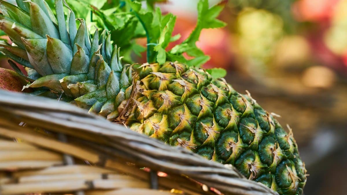 Close-up of a ripe pineapple in a basket, highlighting its fresh and juicy appeal.