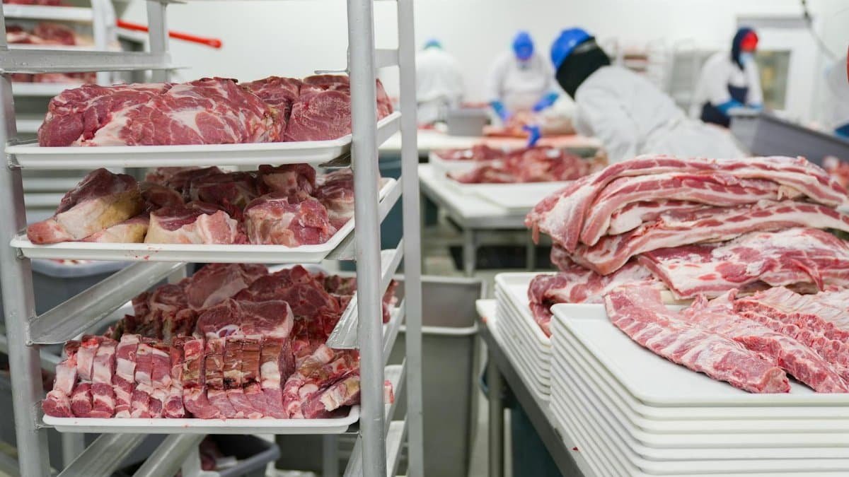 A meat processing facility with workers handling meat cuts on trays, demonstrating industrial food production.