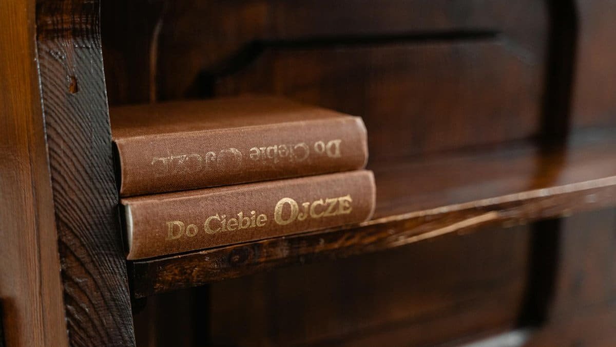 A cozy rustic wooden shelf displaying vintage books with gold embossed titles.