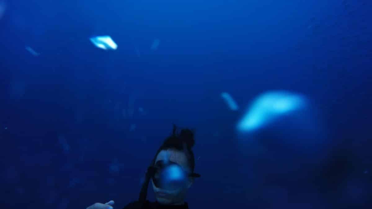 Underwater photo of a diver exploring the deep blue ocean, surrounded by vast water.