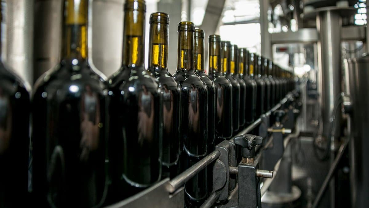 Rows of wine bottles on a production line in an industrial setting.