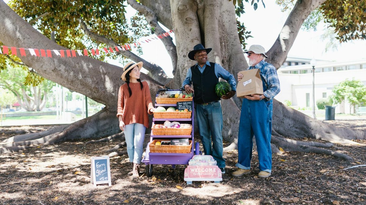 Farmers showcasing organic produce at an outdoor market under a large tree.